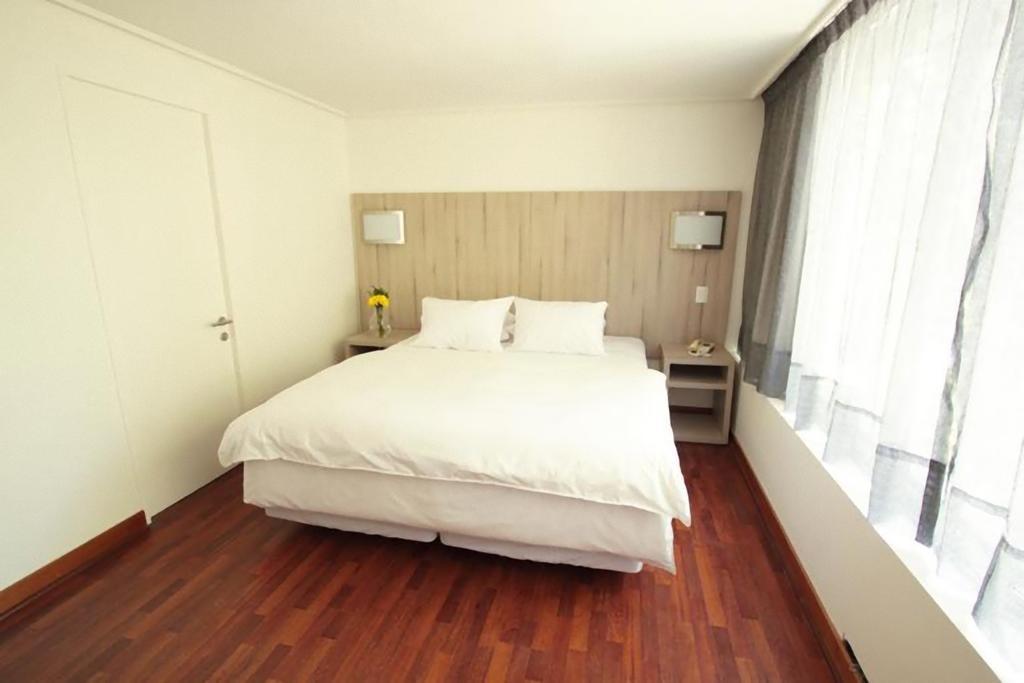 Hotel Torremayor Providencia Сантьяго Екстер'єр фото