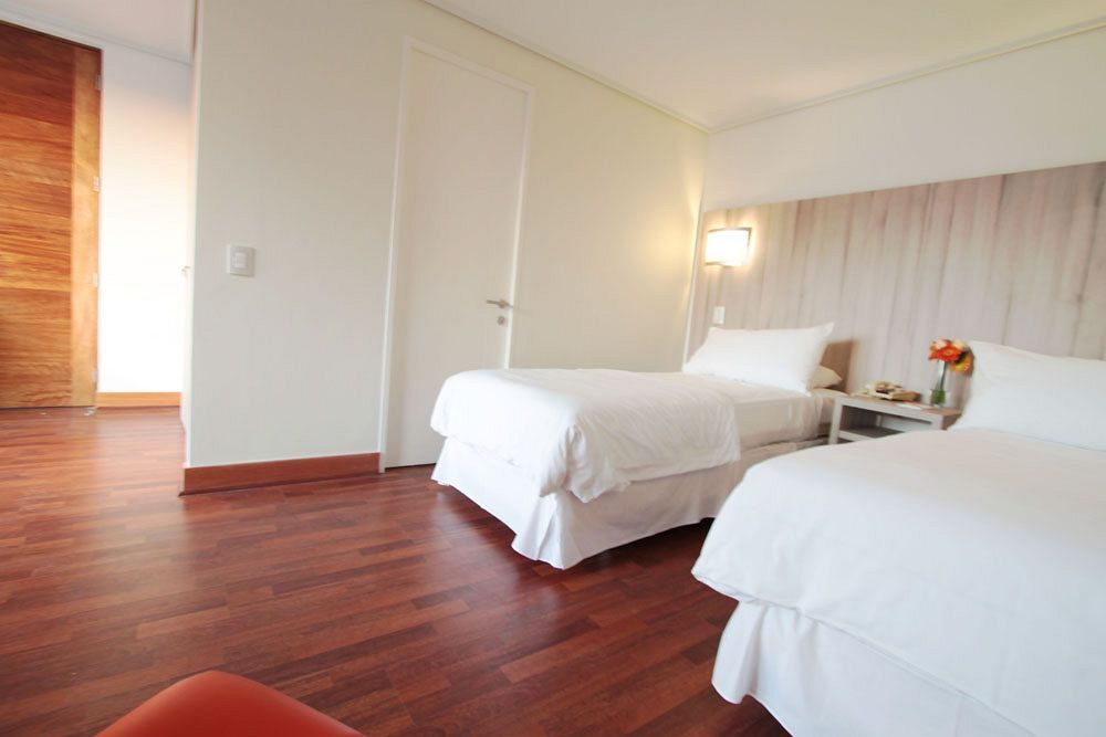Hotel Torremayor Providencia Сантьяго Екстер'єр фото